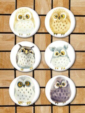 Watercolor Owl Fridge Magnets Set Of 6 Metal Magnets Home Office Kitchen School
